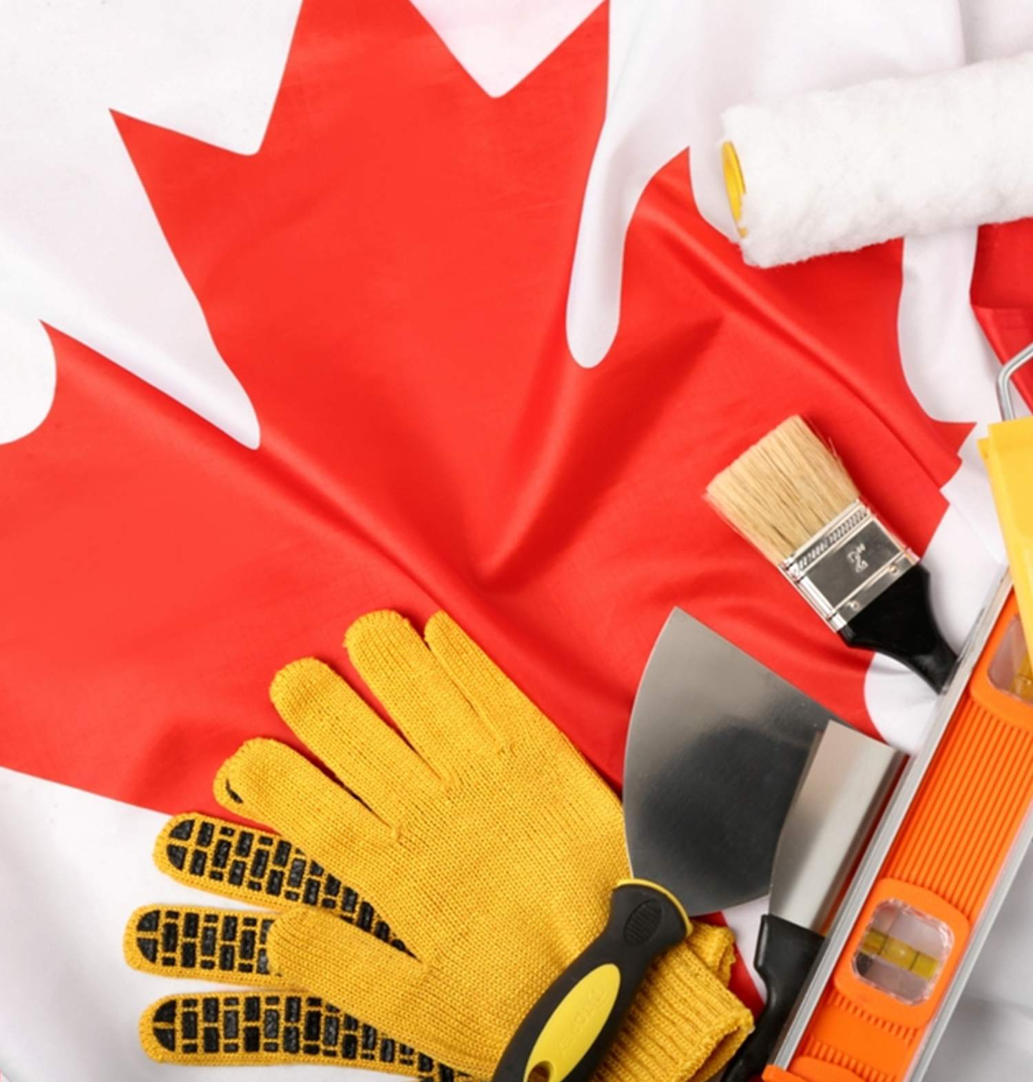 Skilled Immigration